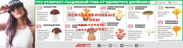 стафф Михайловка