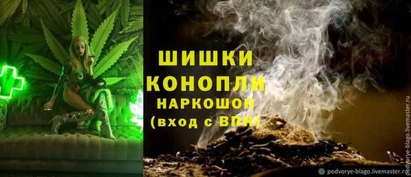 spice Надым